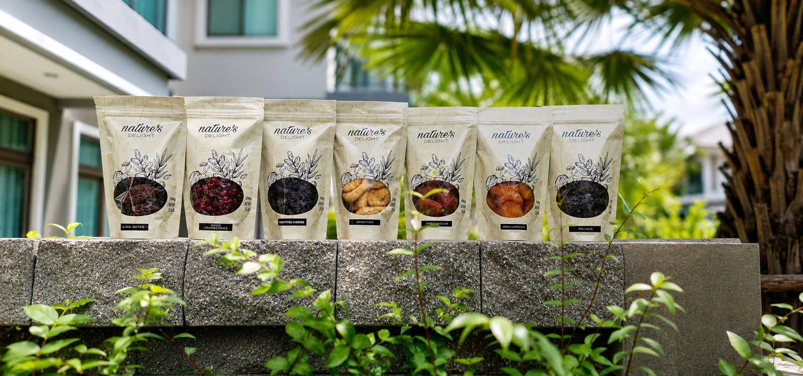 Seven cream Nature’s Delight pouches of dried fruit lined up along a stone garden wall, cranberries, cherries, figs, dates, apricots, and prunes visible through the front windows