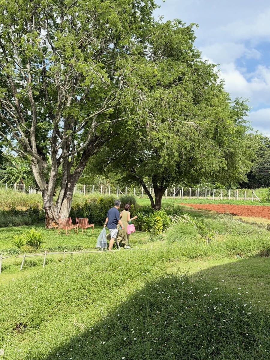 Two visitors walking through the green garden at 555 Sunshine in Khao Yai, past a large shade tree with planted beds behind